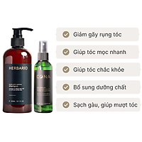 Combo dầu gội bưởi bồ kết herbario 300ml + nước xịt dưỡng tóc bưởi cona 100ml giúp tóc mọc nhanh chắc khỏe giảm gãy rụng