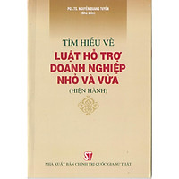 Tìm Hiểu Về Luật Hỗ Trợ Doanh Nghiệp Nhỏ Và Vừa