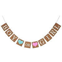 Dây cờ trang trí Boy Or Girl bunting tbgt32