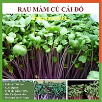 Hạt Giống Rau Mầm Củ Cải Đỏ gói 25gram ngon Giòn Ngọt dễ trồng Nhanh Thu Hoạch