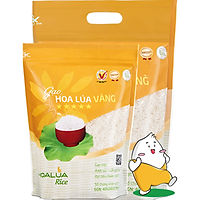 GẠO HOA LÚA VÀNG - Gạo Hoa Lúa
