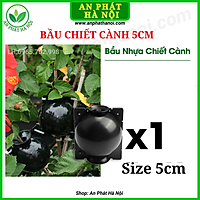 1 Bầu Chiết cành loại đẹp, hộp chiết cây, dụng cụ chiết cành chuyên dụng, hộp ươm cắt ghép chiết cành