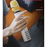 Micro karaoke kèm Loa bluetooth cao Cấp PKCB204 có khe Cắm thẻ nhớ 3 trong 1 Hàng chính hãng