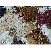 Túi 600 gr - Thức ăn trộn cao cấp cho hamster , sóc , bọ ú