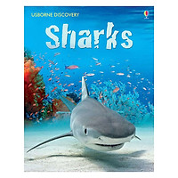 Usborne Sharks