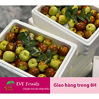 Hồng táo Tàu loại VIP