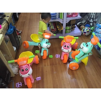 Xe Đạp 3 Bánh Con Bò Gấp Gọn