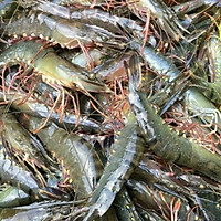 Tôm sú 25-30con/kg - 1kg