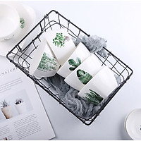 Bộ bát đĩa Sứ màu xanh Tropical