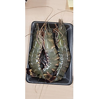 Tôm sú Quảng Canh Size 15-20c/kg gói 500gram