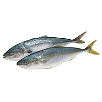 Cá cam - 1kg