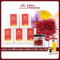 Combo 5 Hộp Saffron KingDom - Nhụy Hoa Nghệ Tây Iran Loại Super Negin Thượng Hạng (Hộp 1 Gram)