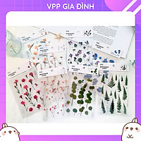 Tấm Nhãn Dán Sticker Trang Trí Hoa Lá Khô Mùa Xuân (Giao Ngẫu Nhiên)