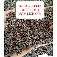 HẠT NIGER (KÍ.CH THÍ.CH SI.NH SẢ.N, KÍC.H C.Ồ) CHO CHIM VẸT