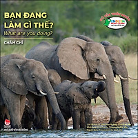Gõ Cửa Thiên Nhiên Bạn Đang Làm Gì Thế? Chăm Chỉ_What Are You Doing?