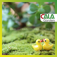  Vịt con vàng phụ kiện terrium tiểu cảnh trang trí chậu cây-Phụ kiện tiểu cảnh
