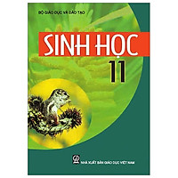 Sinh Học 11 (T9)