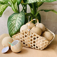 [Chỉ Giao HCM] - Combo 10 trái dừa xiêm gọt trọc (size trung)