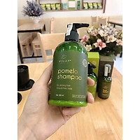 Dầu gội bưởi VIJULLY kích thích mọc tóc giảm gãy rụng tóc
