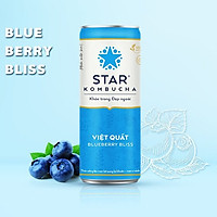 Nước Uống Lên Men Tự Nhiên STAR KOMBUCHA (250ml/lon) - Trẻ Hoá Làn Da, Thanh Lọc Cơ Thể, Bảo Vệ Hệ Tiêu Hoá