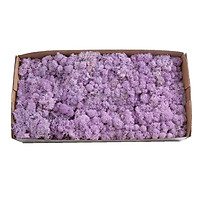 Reindeer Moss Preserved Lining Craft Flower Hanging Basket DIY Floral Decoration