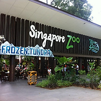 Vé Tham Quan Sở Thú Singapore - Singapore Zoo