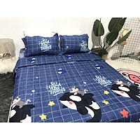 Bộ Chăn Ga Gối Hè Thu 5 Món (Gồm 1 Chăn hè chần bông+ 1 Ga bo chun+ 2 Vỏ gối nằm+1 Vỏ gối ôm) Mã CH207