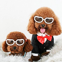 New Pet Goggles Small Dog Sunglasses Anti-Fog Anti-wind Glasses Eye Protector Waterproof Skiing Sun UV Protection Safety