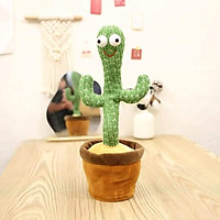 Cây xương rồng nhảy múa cưng xỉu