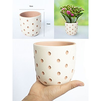 Chậu đất nung - chậu trứng họa tiết lỗ tròn KT 10x10cm, chậu trồng cây cảnh sen đá xương rồng