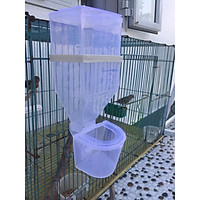 Máng ăn tự động cho chim , gà, bồ câu, vẹt, cu gáy, yến phụng