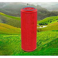 (Hàng chính hãng) Loa di động Bluetooth W-King X6S