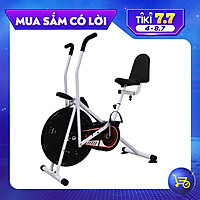 Xe đạp tập thể dục trong nhà BG 8702 Plus (hàng nhập khẩu)
