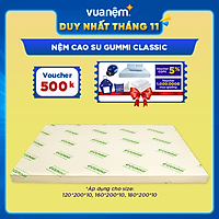 Nệm GM Max 5