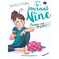 Tiểu thuyết thiếu niên tiếng Pháp: Le journal de Nine Tome 3 - Pourquoi c'est pas juste ?