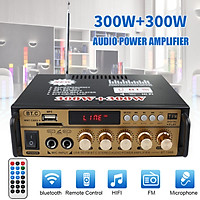 HIFI MP3 Power amplifier Card U Disk Radio Car Home Audio Stereo Bass Speaker Amplifier Booster U Disk Radio 12 V 220 V