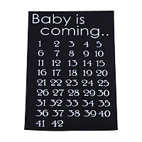 Baby Is Coming Maternity Women Calendar Countdown Pregnancy Mark Off Baby Announcment Baby Birth Countdown 42 Weeks