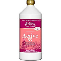 Buried Treasure Active 55 Plus Daily Vitamins Minerals Antioxidants and Herbal Blend for Active Adults 32 oz