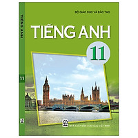 Tiếng Anh 11 (T9)