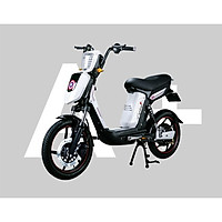 XE ĐẠP ĐIỆN CAP A+
