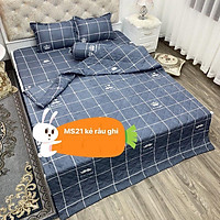 Ga trải giường 1m 1m2 1m4 1m5 1m6 1m8 cotton poly-kẻ râu ghi