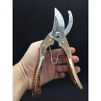 Kéo cắt cành của Nhật Bản