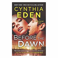 Before The Dawn