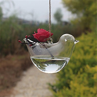 Bình Thủy Tinh Trồng Cây Hình Chim