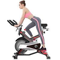 Xe đạp tập thể dục MK-100