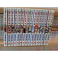 Combo 95 tập: One piece (từ tập 1 đến tập 95)