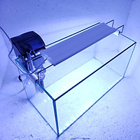 Bể cá mini