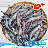 Tôm Sú Tươi - 1kg