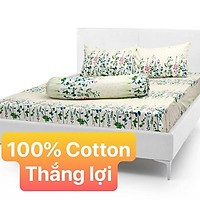 Bộ Drap Cotton THẮNG LỢI 4 món { chuẫn logo}hoặc drap lẻ.1m8x2m