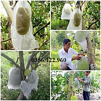 50 Túi Vải không dệt Bọc Mít kích thước 50x70cm Siêu Bền -Chống Ruồi, Chim, Côn Trùng Hút Chích, Chịu Nắng Mưa Qu